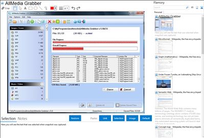 AllMedia Grabber - Flamory bookmarks and screenshots
