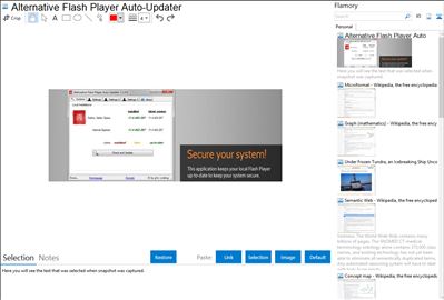 Alternative Flash Player Auto-Updater - Flamory bookmarks and screenshots