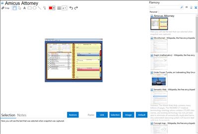 Amicus Attorney - Flamory bookmarks and screenshots