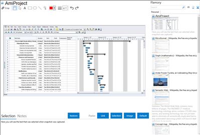 AmiProject - Flamory bookmarks and screenshots