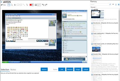 aMSN - Flamory bookmarks and screenshots