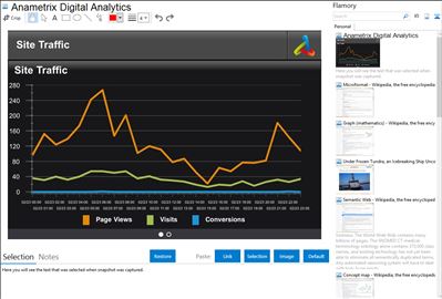 Anametrix Digital Analytics - Flamory bookmarks and screenshots