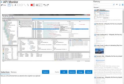 API Monitor - Flamory bookmarks and screenshots