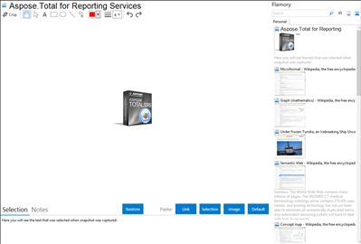 Aspose.Total for Reporting Services - Flamory bookmarks and screenshots