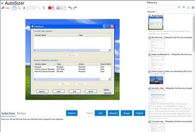 AutoSizer - Flamory bookmarks and screenshots