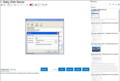 Baby Web Server - Flamory bookmarks and screenshots