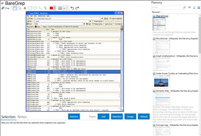BareGrep - Flamory bookmarks and screenshots