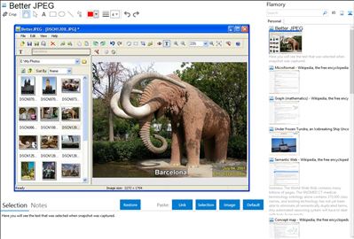 Better JPEG - Flamory bookmarks and screenshots