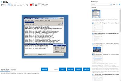 Billy - Flamory bookmarks and screenshots