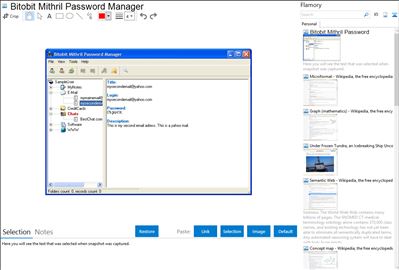 Bitobit Mithril Password Manager - Flamory bookmarks and screenshots