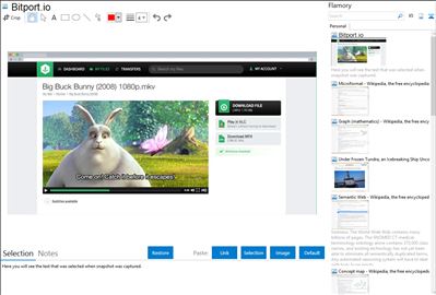 Bitport.io - Flamory bookmarks and screenshots