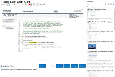 Black Duck Code Sight - Flamory bookmarks and screenshots