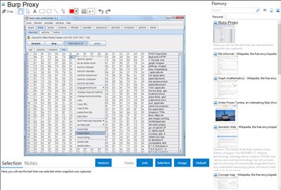 Burp Proxy - Flamory bookmarks and screenshots