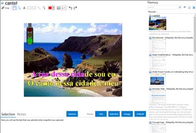 cante! - Flamory bookmarks and screenshots