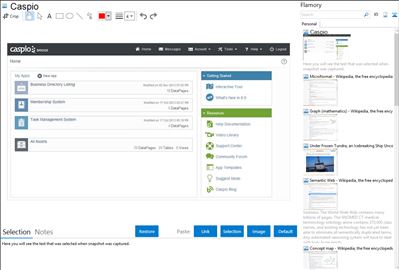 Caspio - Flamory bookmarks and screenshots