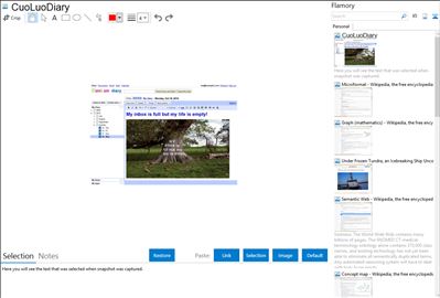 CuoLuoDiary - Flamory bookmarks and screenshots