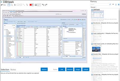 DBHawk - Flamory bookmarks and screenshots