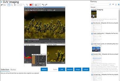 DJV Imaging - Flamory bookmarks and screenshots