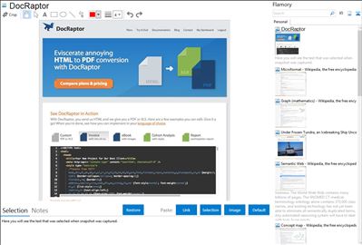 DocRaptor - Flamory bookmarks and screenshots
