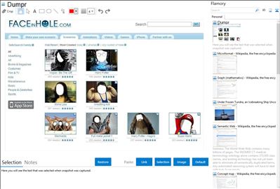 Dumpr - Flamory bookmarks and screenshots
