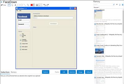 FaceDown - Flamory bookmarks and screenshots