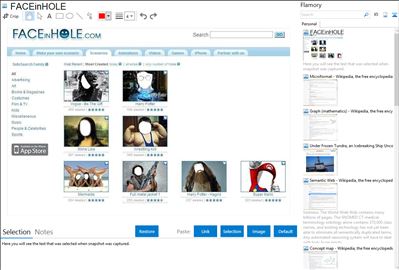 FACEinHOLE - Flamory bookmarks and screenshots