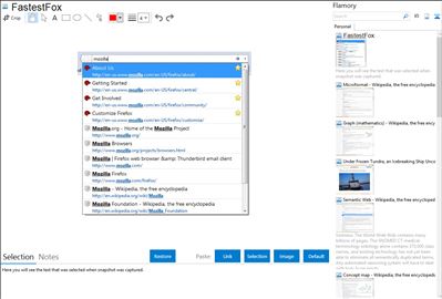 FastestFox - Flamory bookmarks and screenshots
