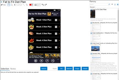 Fat to Fit Diet Plan - Flamory bookmarks and screenshots