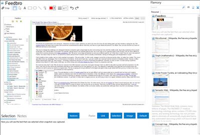 Feedbro - Flamory bookmarks and screenshots