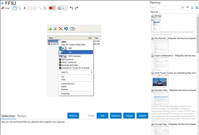 FFSJ - Flamory bookmarks and screenshots