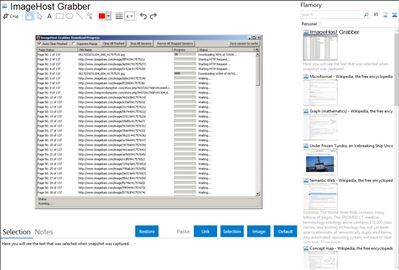 ImageHost Grabber - Flamory bookmarks and screenshots