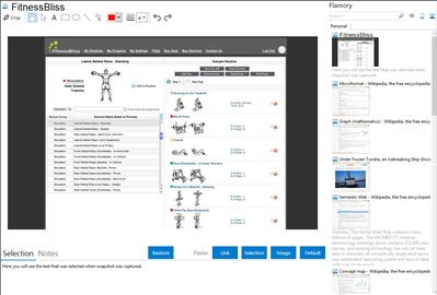 FitnessBliss - Flamory bookmarks and screenshots
