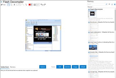 Flash Decompiler - Flamory bookmarks and screenshots