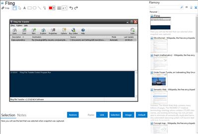 Fling - Flamory bookmarks and screenshots