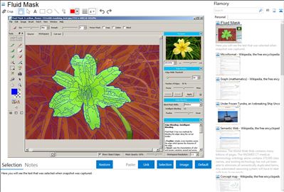 Fluid Mask - Flamory bookmarks and screenshots