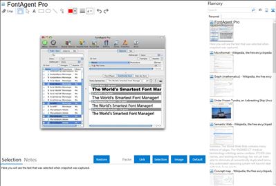 FontAgent Pro - Flamory bookmarks and screenshots