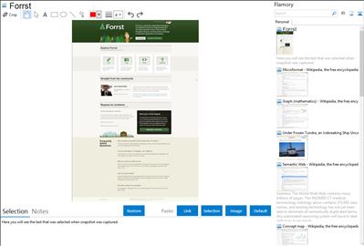 Forrst - Flamory bookmarks and screenshots