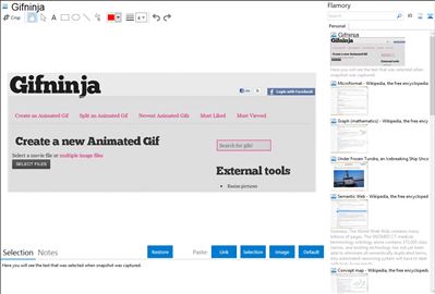 Gifninja - Flamory bookmarks and screenshots