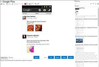 Google Plus - Flamory bookmarks and screenshots