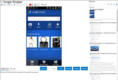 Google Shopper - Flamory bookmarks and screenshots
