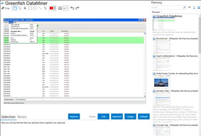 Greenfish DataMiner - Flamory bookmarks and screenshots