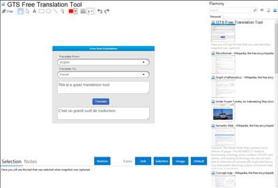GTS Free Translation Tool - Flamory bookmarks and screenshots