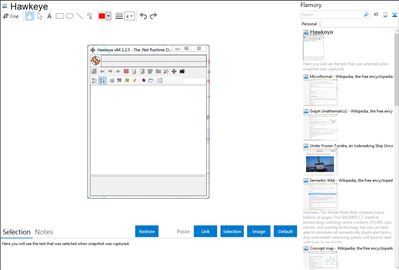 Hawkeye - Flamory bookmarks and screenshots