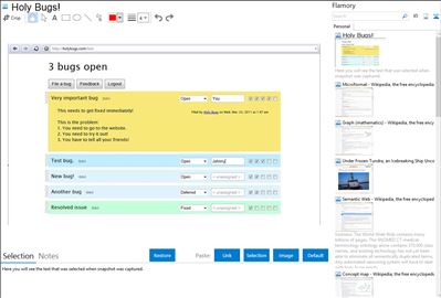 Holy Bugs! - Flamory bookmarks and screenshots