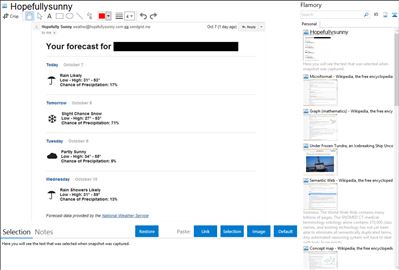 Hopefullysunny - Flamory bookmarks and screenshots