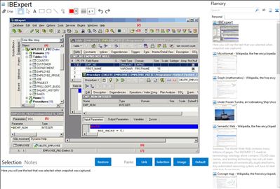 IBExpert - Flamory bookmarks and screenshots