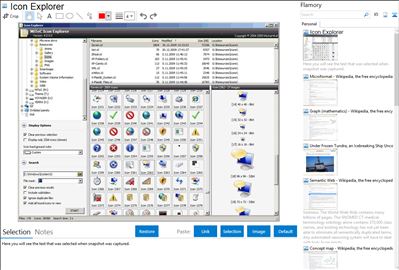 Icon Explorer - Flamory bookmarks and screenshots