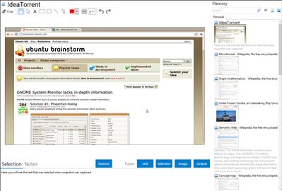 IdeaTorrent - Flamory bookmarks and screenshots