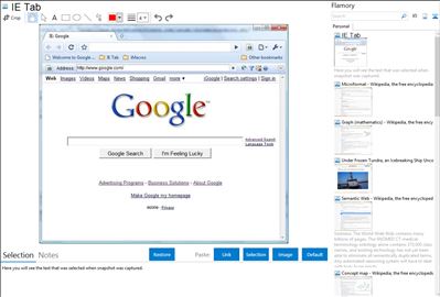 IE Tab - Flamory bookmarks and screenshots