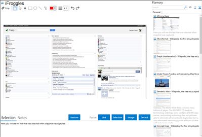 iFroggles - Flamory bookmarks and screenshots